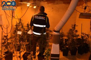 La Policía Nacional desmantela una plantación de marihuana en una vivienda de Alcázar de San Juan