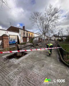 Bomberos del Parque de Almadén realizan varias actuaciones como consecuencia del temporal