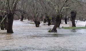 El río Bullaque se desborda a su paso por Retuerta