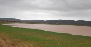 El prodigioso renacimiento de la Laguna de Calderón en Moral de Calatrava