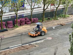 Puertollano: Primeros brotes del amor entre las apisonadoras del Paseo del Bosque