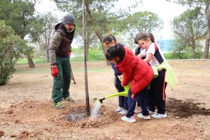 Estudiantes de 2º de primaria plantan 50 nuevos árboles en el Paseo de la Isla Verde de Manzanares