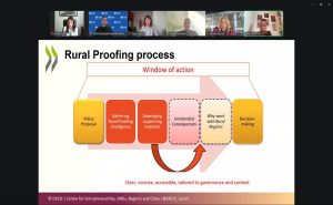 Castilla-La Mancha, protagonista en la OCDE por su proceso participativo en la evaluación de la Estrategia regional frente a la Despoblación