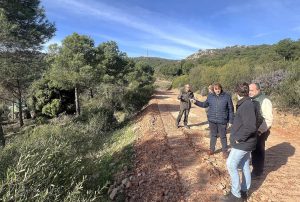 El Gobierno de García-Page convoca ayudas para tratamientos selvícolas con el objetivo de favorecer la conservación y mejora de las masas forestales”