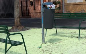 El PSOE exige a Cañizares que atienda de inmediato las demandas vecinales de Valverde