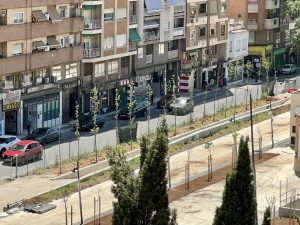 Desterrados de Puertollano los 17 plataneros del Bosque