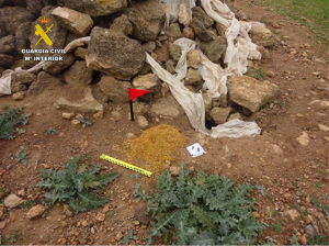 El SEPRONA de la Guardia Civil de Ciudad Real investiga a tres personas por delitos contra la fauna y flora