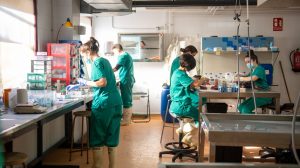 La UCLM lanza la mayor convocatoria postdoctoral de su historia, con más de 3,2 millones de euros y 30 contratos