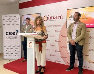 Ciudad Real, la capital de provincia de Castilla-La Mancha con mayor descenso interanual del paro