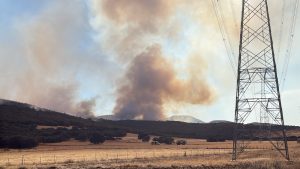 Controlado el incendio forestal de la Dehesa Boyal de Puertollano tras arrasar 150 hectáreas