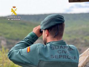 La Guardia Civil interviene tres piezas de caza sin precintar durante controles cinegéticos en la comarca de la Alcarria conquense